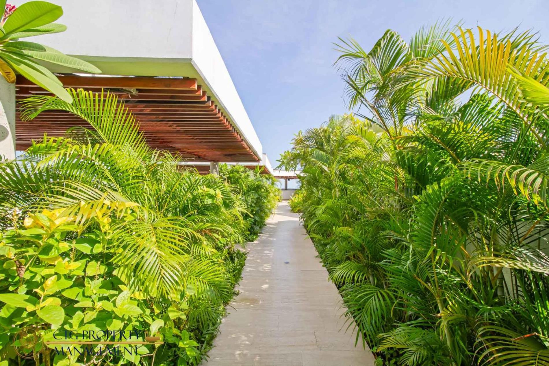 Martinique Cartagena - Apartamentos A Corta Caminata De Playa Azul Exterior photo